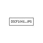 DSCF1001.JPG